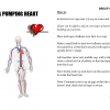 Build a Pumping Heart Kit