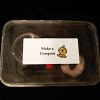 Make a Compass Kit - Image 5