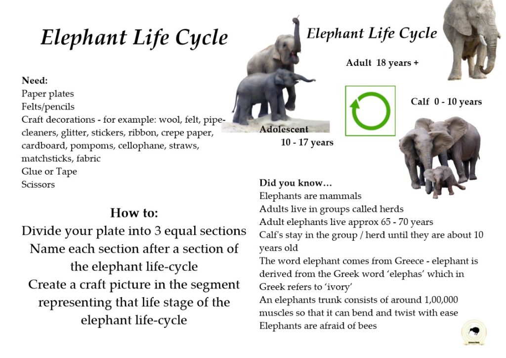 LIFE CYCLES – Science Kiwis